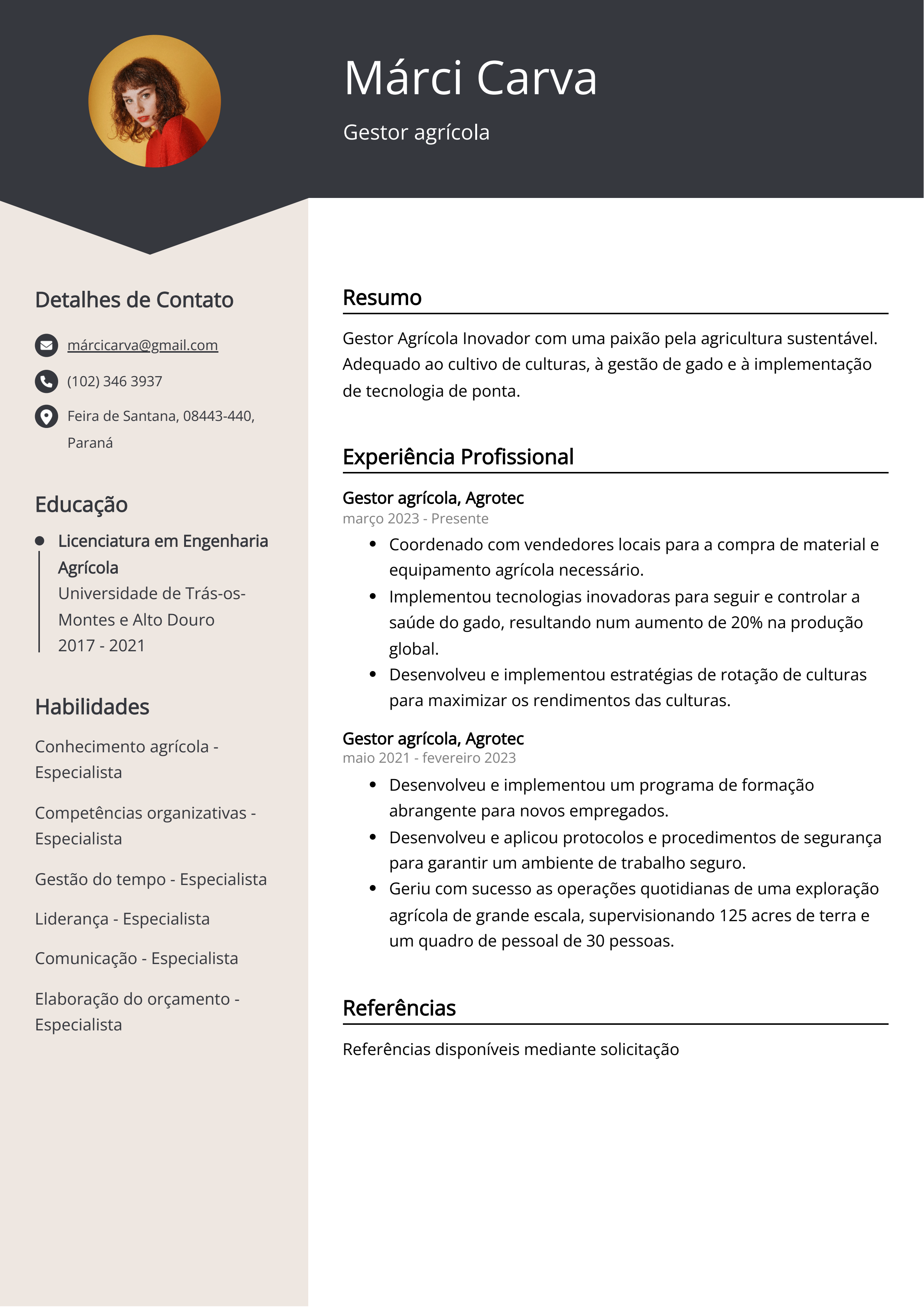 Criar CV