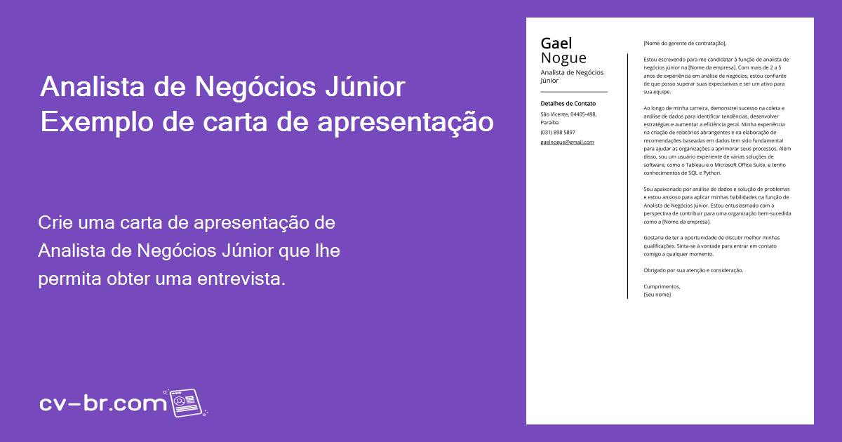 Carta De Apresentação Analista De Negócios Júnior Exemplo E Guia