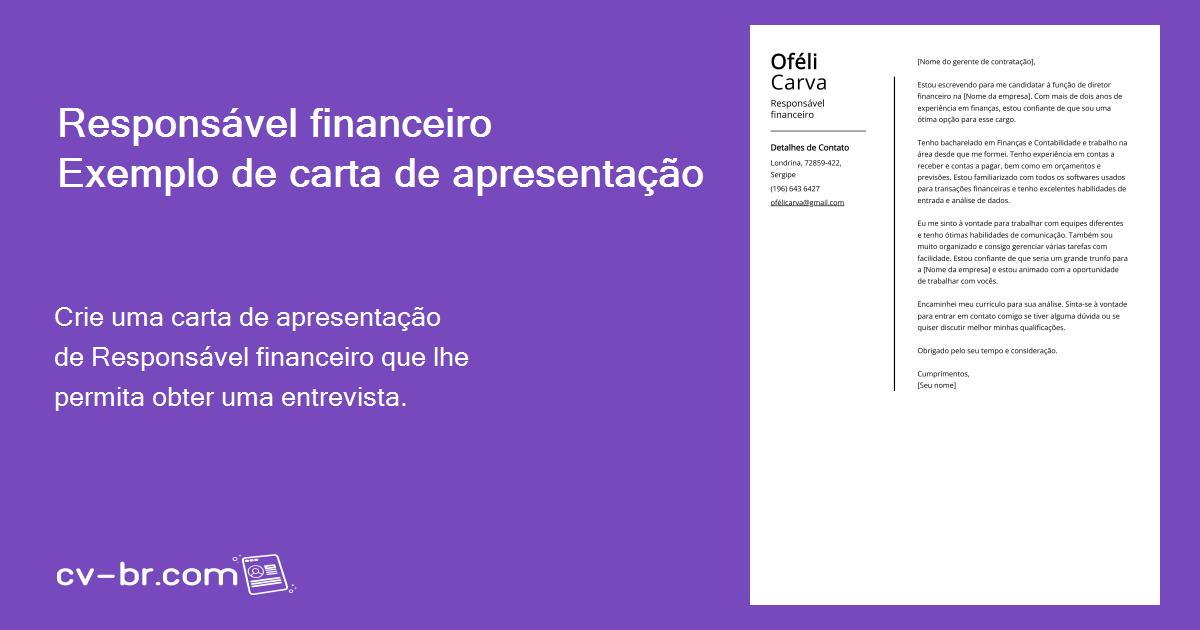 Carta De Apresentação Responsável Financeiro Exemplo E Guia Empregos De Nível Básico E Sênior 8043